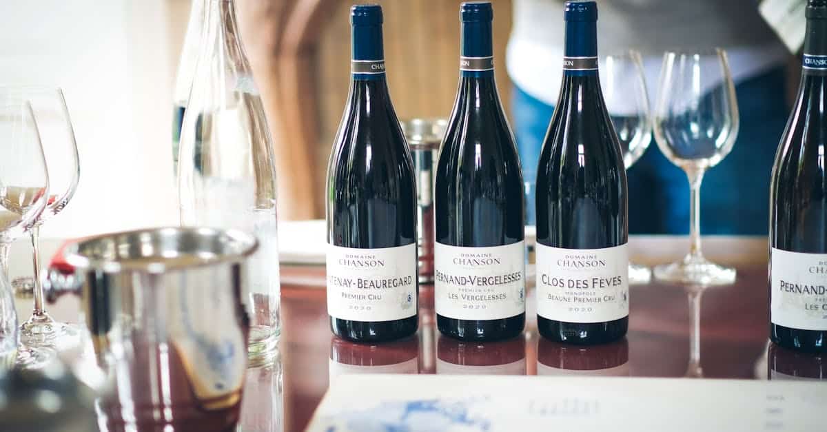 découvrez beaune vintage, votre destination idéale pour des vêtements et accessoires rétro authentiques, alliant style d'époque et tendance moderne.