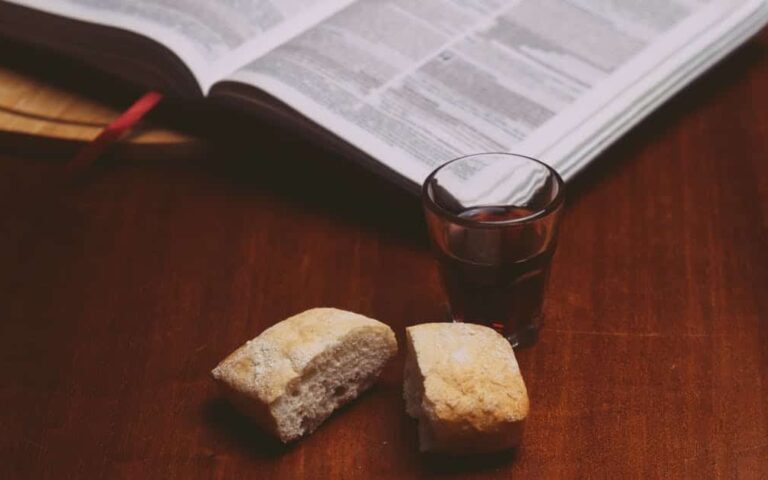 découvrez l'harmonie entre littérature et vin : explorez des récits inspirants et des dégustations raffinées pour éveiller vos sens et votre esprit.