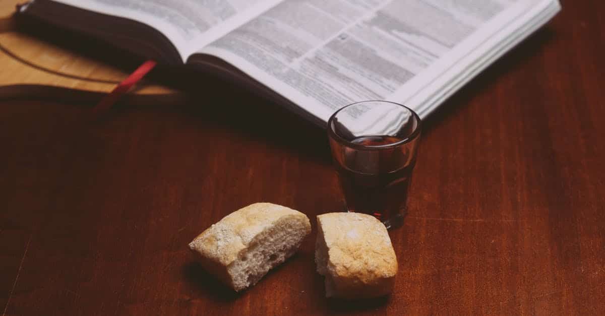 découvrez l'harmonie entre littérature et vin : explorez des récits inspirants et des dégustations raffinées pour éveiller vos sens et votre esprit.