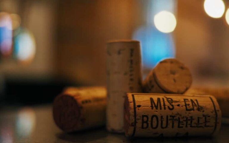 découvrez nos vignerons biologiques passionnés, produisant des vins naturels et respectueux de l'environnement pour une dégustation authentique et saine.
