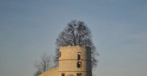 découvrez l'art ancien de la fermentation, une méthode traditionnelle qui transforme les aliments pour révéler saveurs uniques et bienfaits pour la santé.