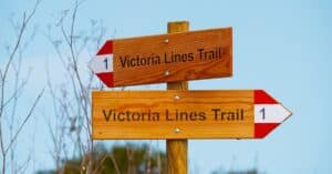 découvrez le guide des vins michelin, votre référence pour sélectionner les meilleurs vins et domaines viticoles de qualité exceptionnelle.