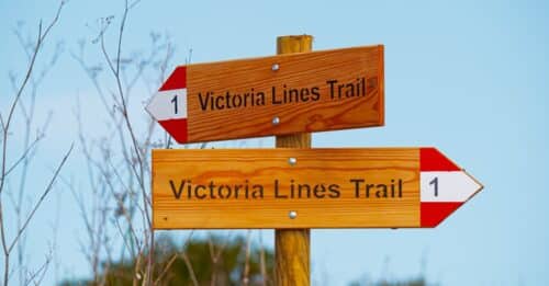 découvrez le guide des vins michelin, votre référence pour sélectionner les meilleurs vins et domaines viticoles de qualité exceptionnelle.