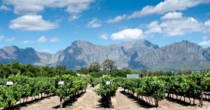 découvrez la renaissance des vignobles de bourgogne, entre traditions ancestrales et innovations modernes pour un terroir d'exception.
