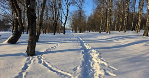 relevez le défi du dry january : un mois sans alcool pour améliorer votre santé, votre bien-être et adopter de nouvelles habitudes positives.