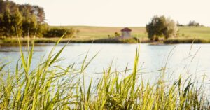 découvrez dua lipa, la chanteuse pop internationale aux hits incontournables, reconnue pour sa voix unique et son style audacieux.