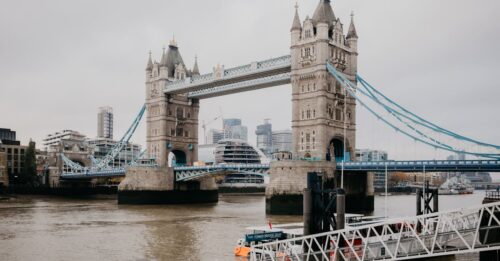 découvrez l'art de la vinification urbaine, une tendance alliant tradition et innovation pour produire du vin en milieu citadin.