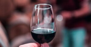 découvrez l'art de la dégustation de vin : explorez les saveurs, apprenez à reconnaître les arômes et appréciez chaque gorgée avec nos conseils experts.