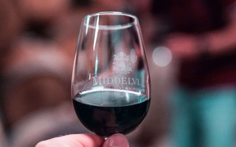découvrez l'art de la dégustation de vin : explorez les saveurs, apprenez à reconnaître les arômes et appréciez chaque gorgée avec nos conseils experts.