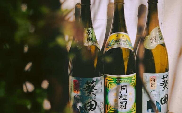découvrez l'univers unique du vin japonais, alliant traditions ancestrales et techniques modernes pour offrir des saveurs raffinées et authentiques.
