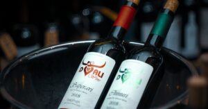 découvrez médoc wine, une sélection raffinée de vins rouges emblématiques de la région du médoc, alliant tradition et élégance pour sublimer vos moments de dégustation.