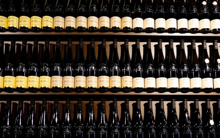 découvrez notre sélection de vins biologiques, issus de vignobles respectueux de l'environnement pour une dégustation naturelle et authentique.