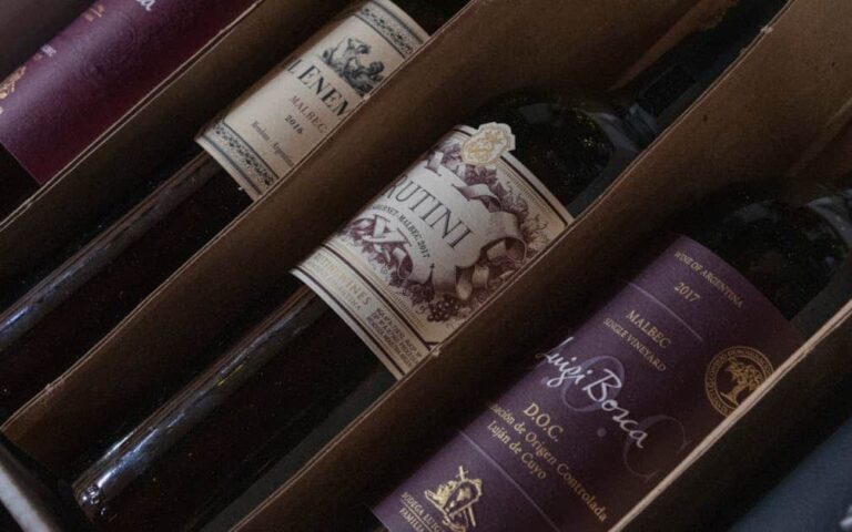 découvrez l'univers du vin : conseils de dégustation, sélection des meilleurs crus, accords mets et vins, et astuces pour choisir la bouteille idéale.