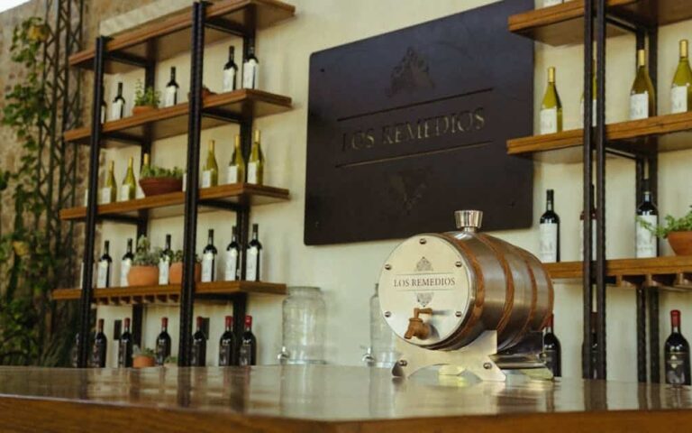 découvrez notre wine bar convivial et chaleureux, où une sélection raffinée de vins vous attend pour des dégustations inoubliables entre amis ou en couple.