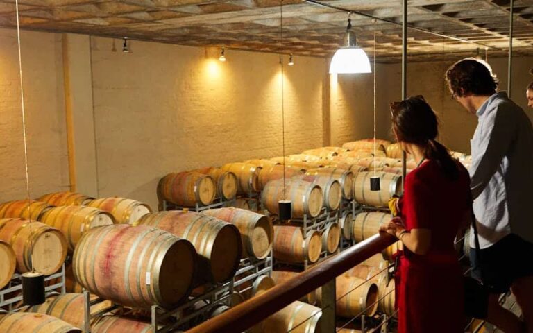 découvrez les tendances, innovations et enjeux actuels de l'industrie du vin, un secteur dynamique alliant tradition et modernité.