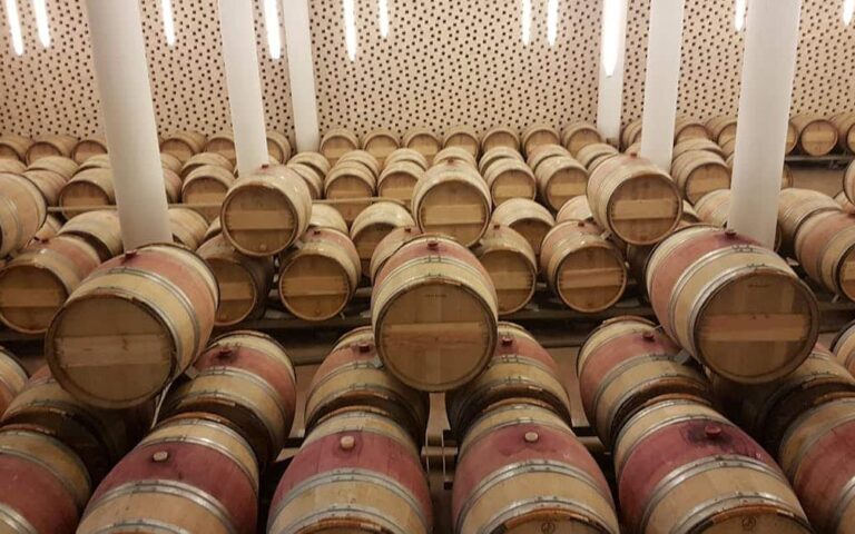 découvrez le wine summit, un événement incontournable pour les passionnés de vin, alliant dégustations, conférences et rencontres avec des experts du monde viticole.