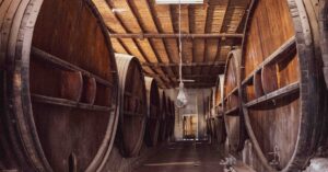 découvrez l'art et la passion du vigneron, expert dans la création de vins d'exception alliant tradition et innovation.