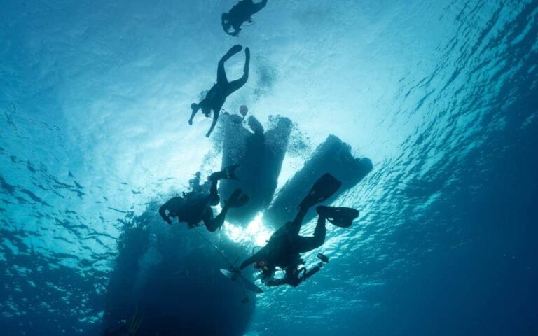 découvrez les merveilles de la plongée sous-marine : explorez les fonds marins, admirez la faune et la flore aquatiques, et vivez une expérience inoubliable sous l'eau.