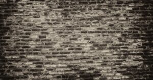 découvrez tout sur la syrah, un cépage noble réputé pour ses vins rouges puissants et aromatiques, appréciés dans le monde entier.