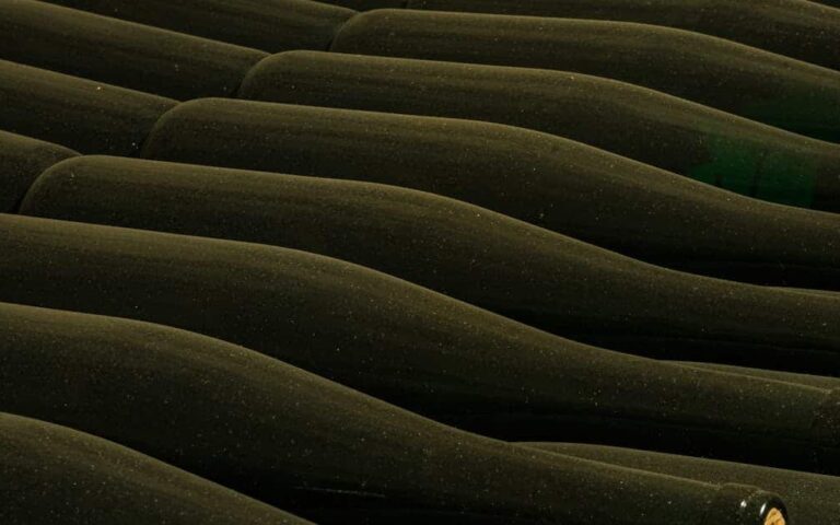 découvrez l'univers du vin : conseils de dégustation, sélection des meilleurs crus, accords mets et vins, et actualités du monde viticole.