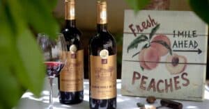 découvrez l'univers du vin : conseils de dégustation, accords mets et vins, et histoire des cépages.