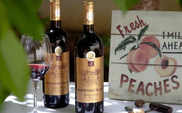 découvrez le monde du vin : ses origines, ses cépages, ses méthodes de dégustation et ses accords mets-vins pour apprécier pleinement chaque bouteille.