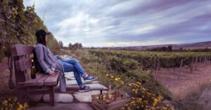 découvrez une aventure œnologique unique à travers des dégustations de vins raffinés, des visites de vignobles pittoresques et des moments inoubliables pour les amateurs de vin.