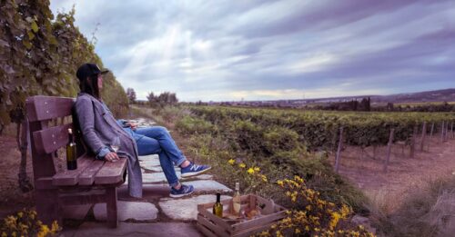 découvrez une aventure œnologique unique à travers des dégustations de vins raffinés, des visites de vignobles pittoresques et des moments inoubliables pour les amateurs de vin.