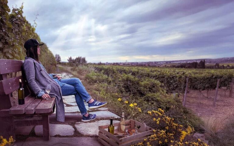 découvrez une aventure œnologique unique à travers des dégustations de vins raffinés, des visites de vignobles pittoresques et des moments inoubliables pour les amateurs de vin.