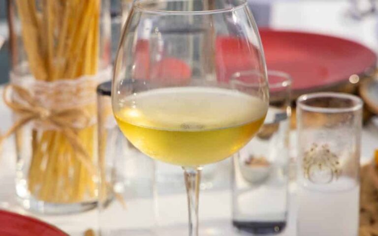 découvrez le festival du vin et de la gastronomie, une célébration unique alliant dégustations de vins d'exception et délices culinaires pour les amateurs de saveurs authentiques.
