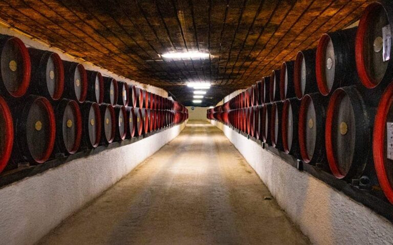 expert en vin passionné, offrant conseils, recommandations et découvertes pour les amateurs de vins de qualité.