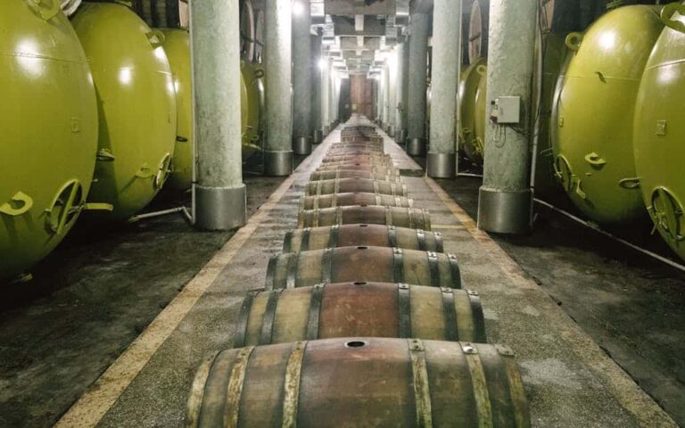 découvrez les meilleures techniques de conservation du vin pour préserver ses arômes et sa qualité, que ce soit après ouverture ou pour un stockage prolongé.