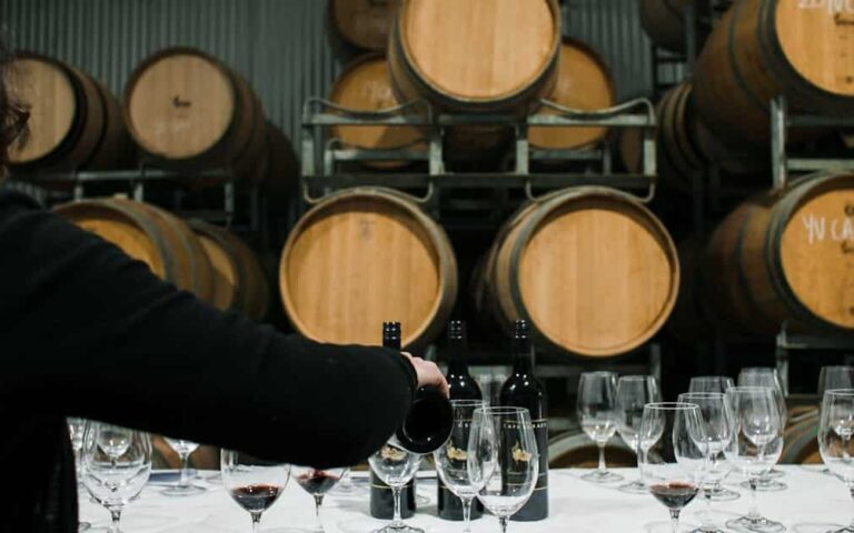 découvrez l'art et la passion du vigneron, maître dans l'élaboration de vins d'exception alliant tradition et savoir-faire.