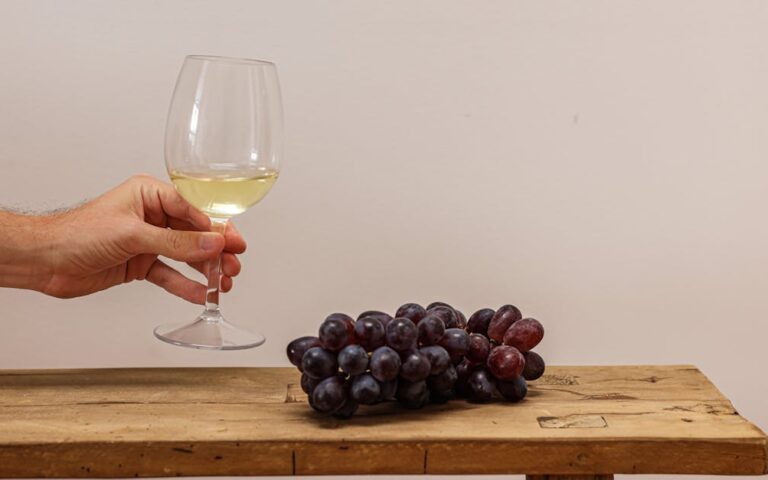 découvrez le vin exceptionnel issu d'un cépage ancestral rare du chili, alliant tradition et saveurs uniques pour une expérience authentique.