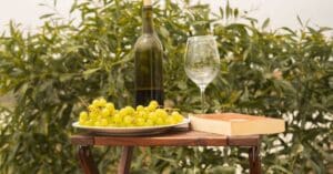 découvrez le vin naturel, une approche authentique de la viticulture respectueuse de l'environnement, offrant des saveurs uniques et une expérience gustative pure.