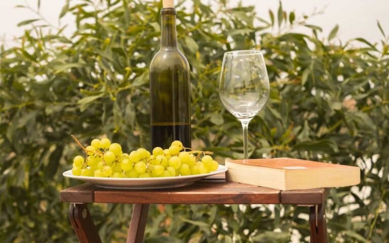 découvrez le vin naturel, une approche authentique de la viticulture respectueuse de l'environnement, offrant des saveurs uniques et une expérience gustative pure.