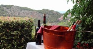 découvrez l'univers des vins naturels, des vins authentiques élaborés sans additifs chimiques, pour une dégustation pure et respectueuse de l'environnement.