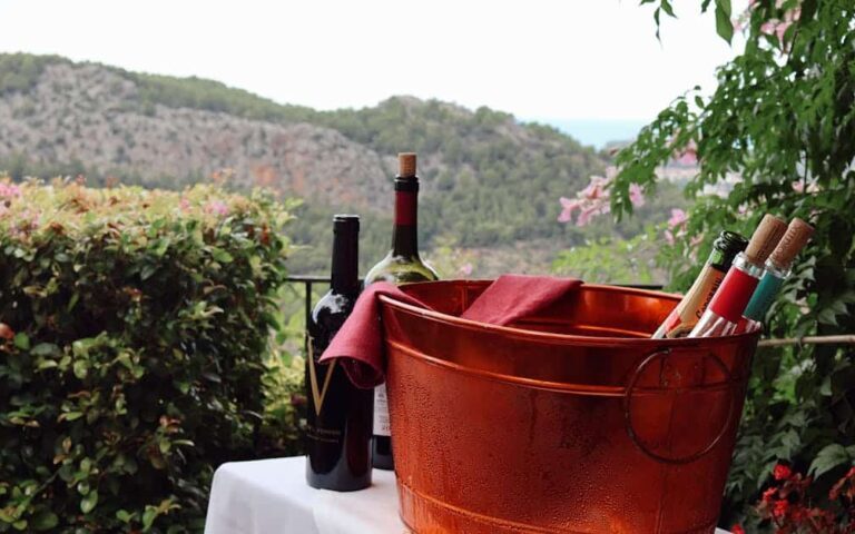 découvrez l'univers des vins naturels, des vins authentiques élaborés sans additifs chimiques, pour une dégustation pure et respectueuse de l'environnement.