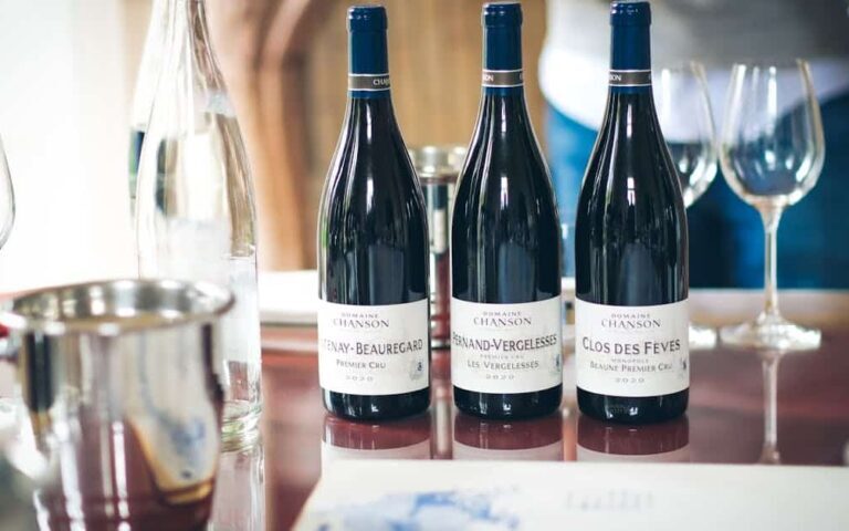 découvrez l'univers du vin : histoire, dégustation, accords mets-vins et conseils pour choisir les meilleurs crus.
