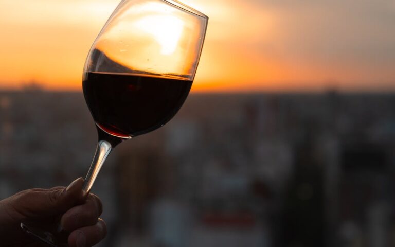 découvrez wine city, la destination idéale pour les amateurs de vin, offrant des dégustations uniques, des vignobles renommés et une ambiance conviviale au cœur des régions viticoles.