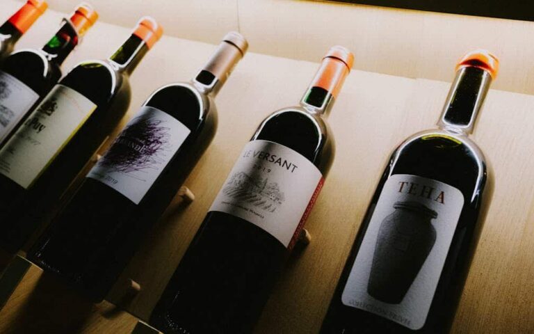 découvrez notre sélection de vins abordables alliant qualité et prix attractifs, parfaits pour toutes les occasions et tous les budgets.