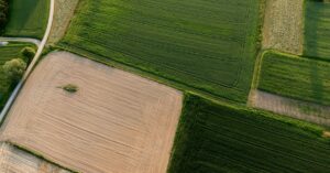 agrifinance : solutions financières spécialisées pour le secteur agricole, soutenant les exploitations et les projets innovants.