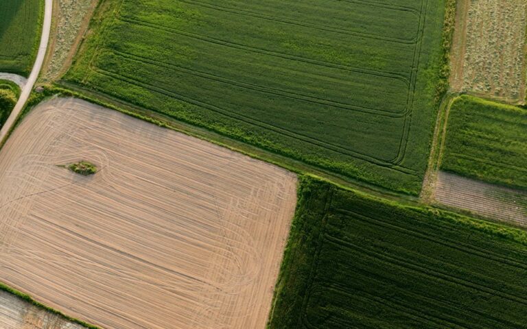 agrifinance : solutions financières spécialisées pour le secteur agricole, soutenant les exploitations et les projets innovants.