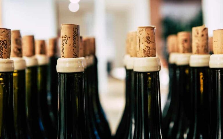 découvrez le vin naturel : une approche authentique et écologique de la viticulture pour des saveurs uniques et respectueuses de l'environnement.
