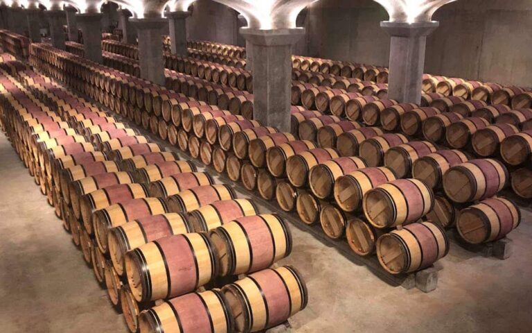 découvrez les vins de pomerol et saint-émilion millésime 2023, alliant finesse et caractère, parfaits pour les amateurs de grands crus bordelais.