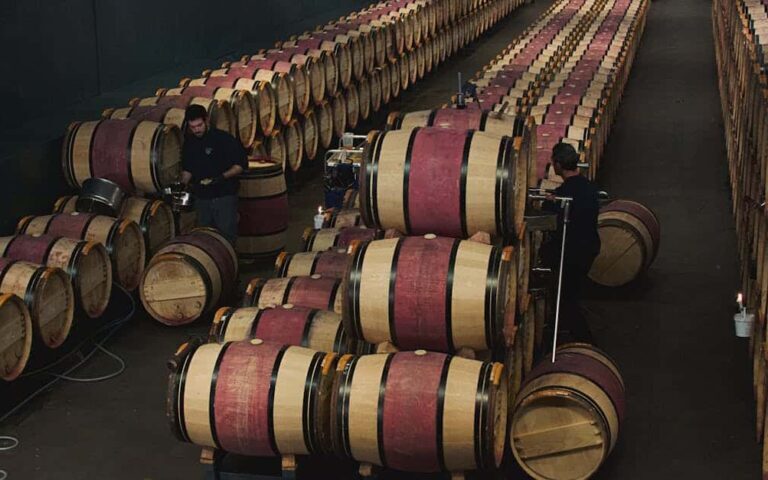 découvrez les vins de saint-estèphe, réputés pour leurs crus classés et leur caractère puissant, issus des vignobles prestigieux de l'appellation bordelaise.