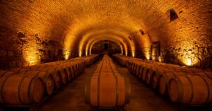 découvrez comment optimiser la consommation d'énergie de votre cave à vin pour préserver vos bouteilles tout en réduisant vos coûts énergétiques.