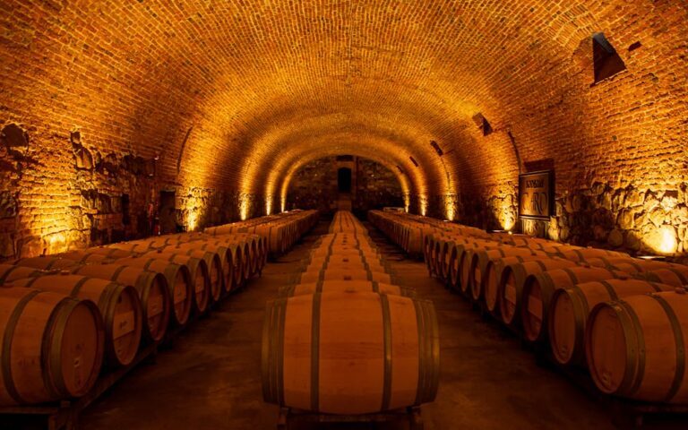 découvrez comment optimiser la consommation d'énergie de votre cave à vin pour préserver vos bouteilles tout en réduisant vos coûts énergétiques.