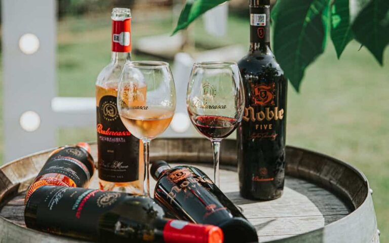 découvrez nos offres exclusives sur une sélection de vins de qualité. profitez des meilleurs prix et faites plaisir à vos papilles avec nos wine deals exceptionnels.