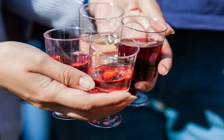 découvrez notre festival du vin : dégustations, animations et rencontres avec des vignerons passionnés pour célébrer la richesse des crus locaux et internationaux.